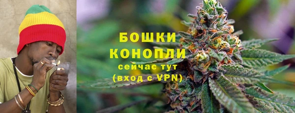 дживик Нефтекумск
