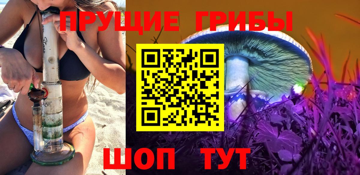 Новокубанск  Псилоцибиновые грибы Psilocybine cubensis  Псилоцибиновые грибы GOLDEN TEACHER  Вход с VPN 